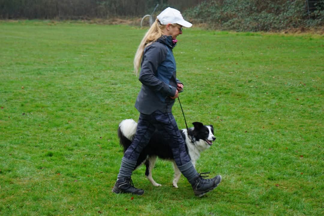 FB_IMG_1743273960188